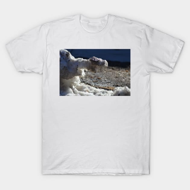 Melting Snow hidden dragon T-Shirt by srosu